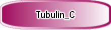 Tubulin_C