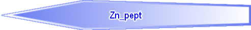 Zn_pept