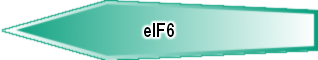 eIF6