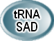 tRNA_SAD
