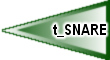 t_SNARE