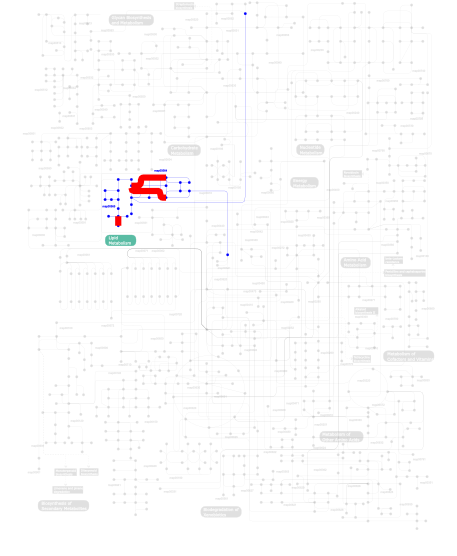 Pathways map