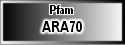 ARA70