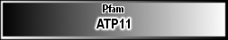 ATP11
