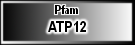 ATP12