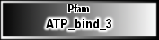 ATP_bind_3