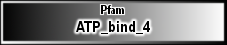 ATP_bind_4
