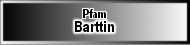 Barttin