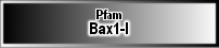 Bax1-I
