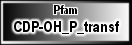 CDP-OH_P_transf