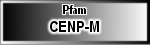 CENP-M
