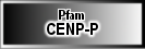 CENP-P