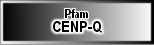 CENP-Q