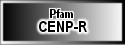 CENP-R