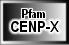 CENP-X