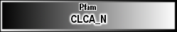 CLCA_N