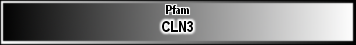 CLN3