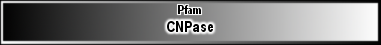 CNPase