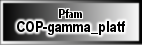 COP-gamma_platf