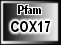 COX17