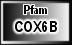 COX6B