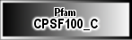 CPSF100_C