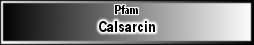 Calsarcin