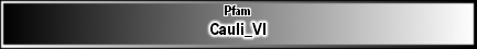 Cauli_VI