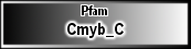 Cmyb_C