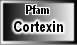Cortexin