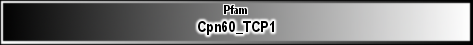 Cpn60_TCP1