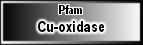Cu-oxidase