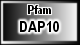 DAP10