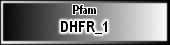 DHFR_1