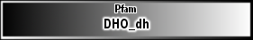 DHO_dh