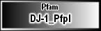 DJ-1_PfpI