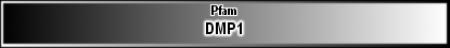 DMP1