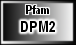 DPM2