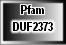 DUF2373