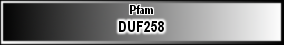 DUF258
