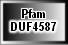 DUF4587