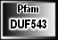 DUF543