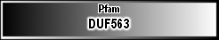 DUF563