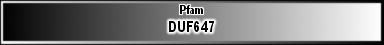 DUF647
