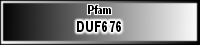 DUF676