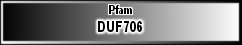 DUF706