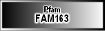 FAM163
