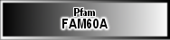 FAM60A