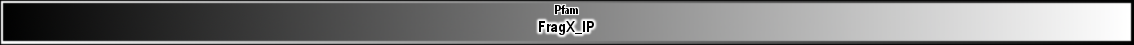 FragX_IP