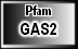 GAS2